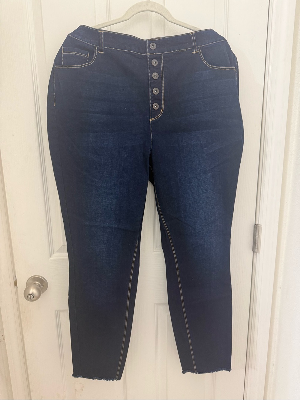 Du Jour Regular Dark Wash Button-Fly Skinny Jeans. Size 20W. New w/out tags.